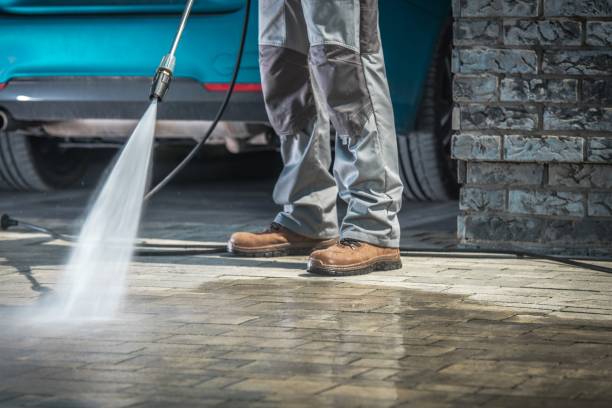 Best Dumpster Area Cleaning  in Lutz, FL