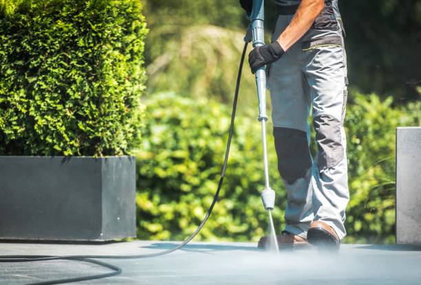 Best Dumpster Area Cleaning  in Lutz, FL