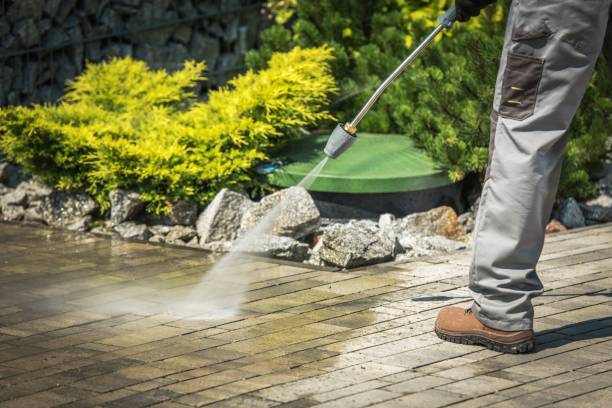 Best Fence Cleaning  in Lutz, FL