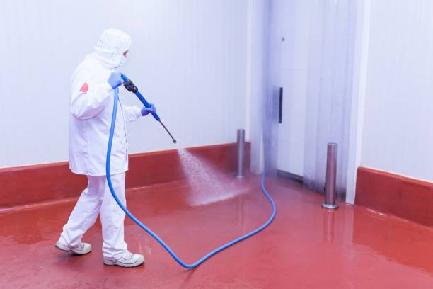 Best Oil Spill Cleanup  in Lutz, FL