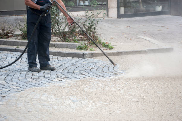 Trusted Lutz, FL  Pressure Washing Services Experts