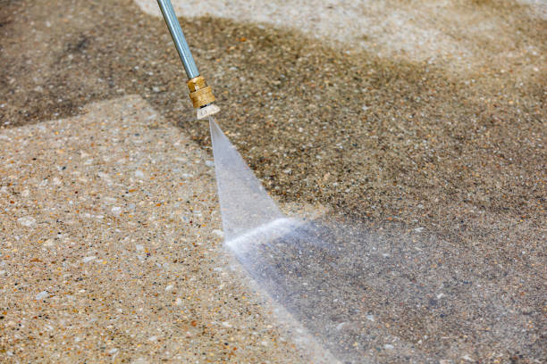 Best Restaurant Pressure Washing  in Lutz, FL